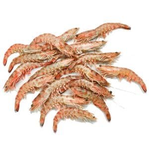 Langostino de Sanlúcar