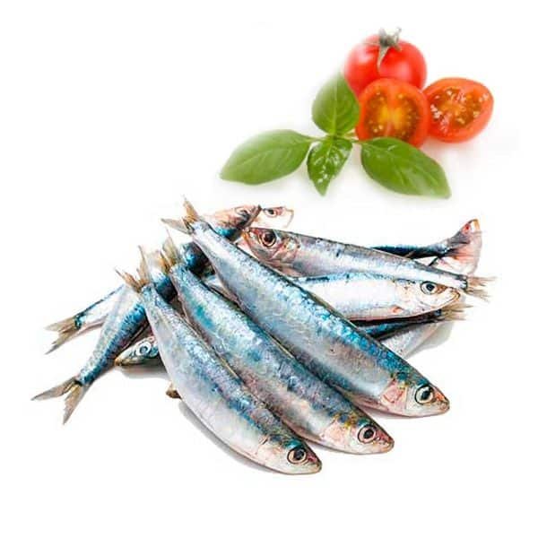 Sardina de Espeto