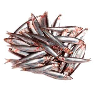 Boquerón