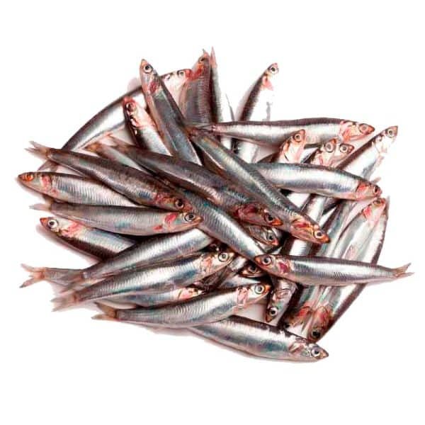 Boquerón