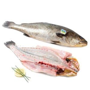 Corvina de Crianza