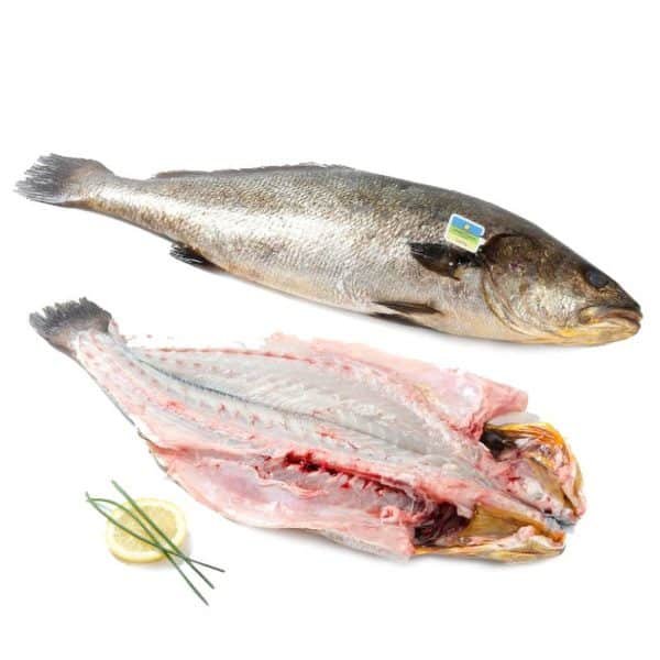 Corvina de Crianza
