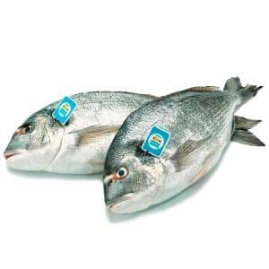 Dorada Salvaje
