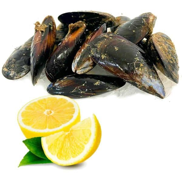 Mejillón