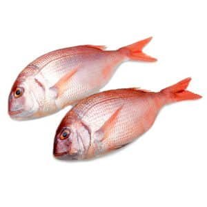 Pargo