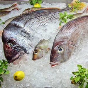 Pescado