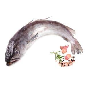 Pescadilla
