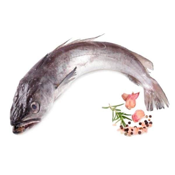 Pescadilla