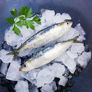 Pescado Azul