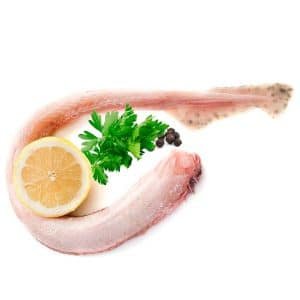 Pintarroja